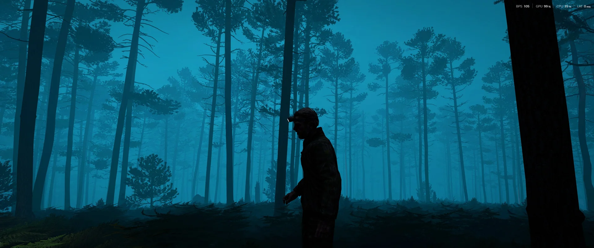 Player silhouette in blue misty pine forest