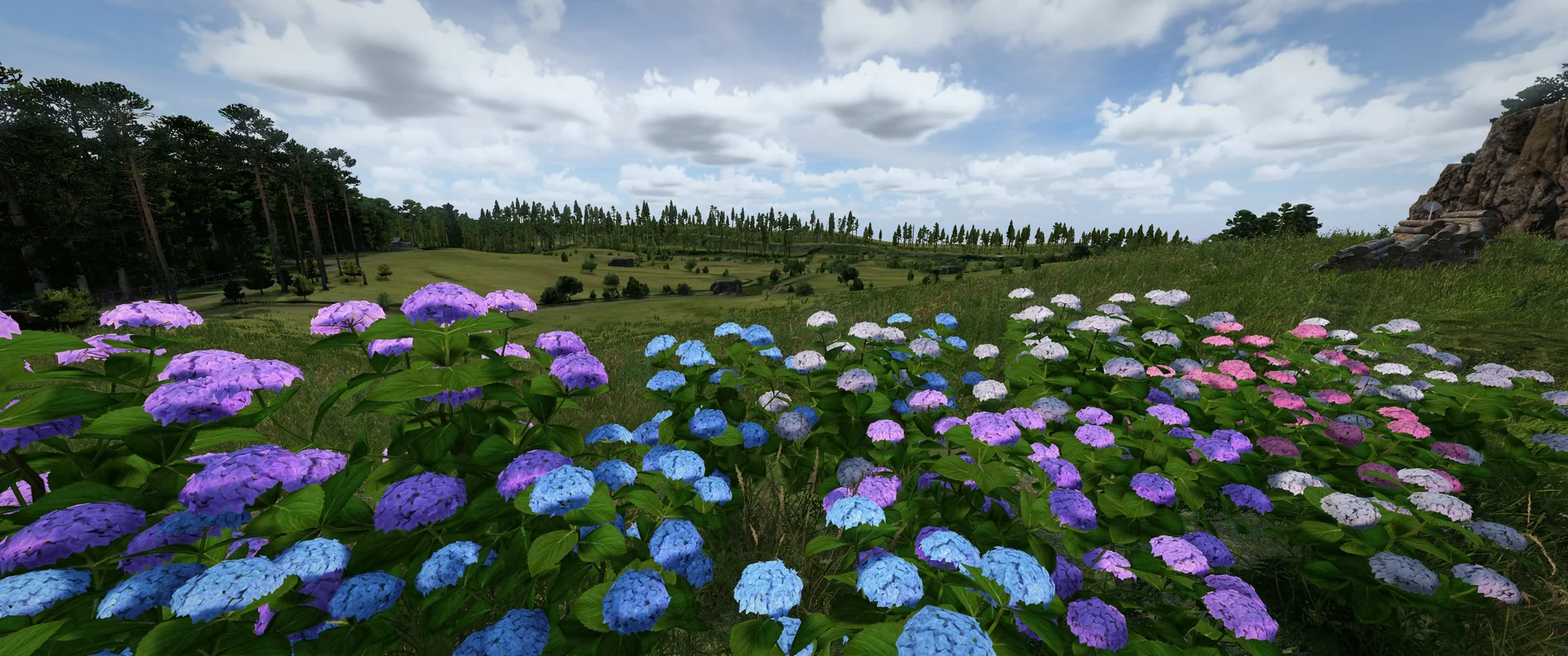 Hydrangea fields across the Azalea highlands